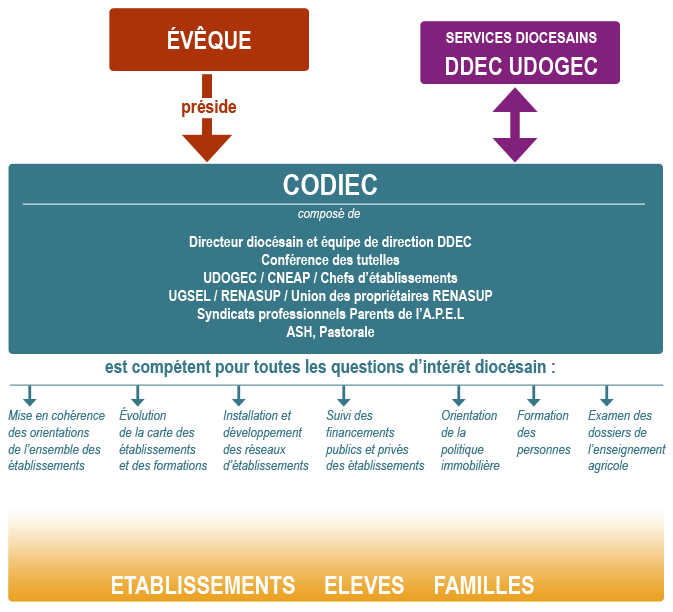 Organigramme Organigramme