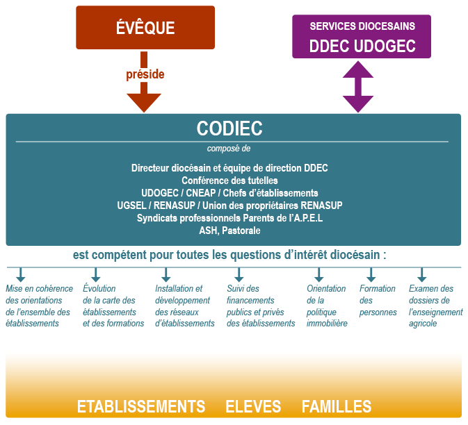 Organigramme